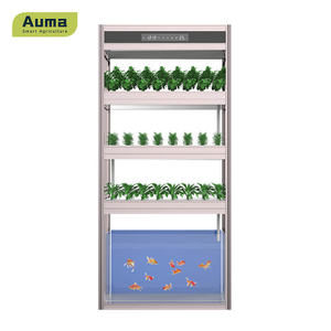 Auma Aquaponic modello AM3 è un buon modo per accedere a verdure e pesce biologici e freschi